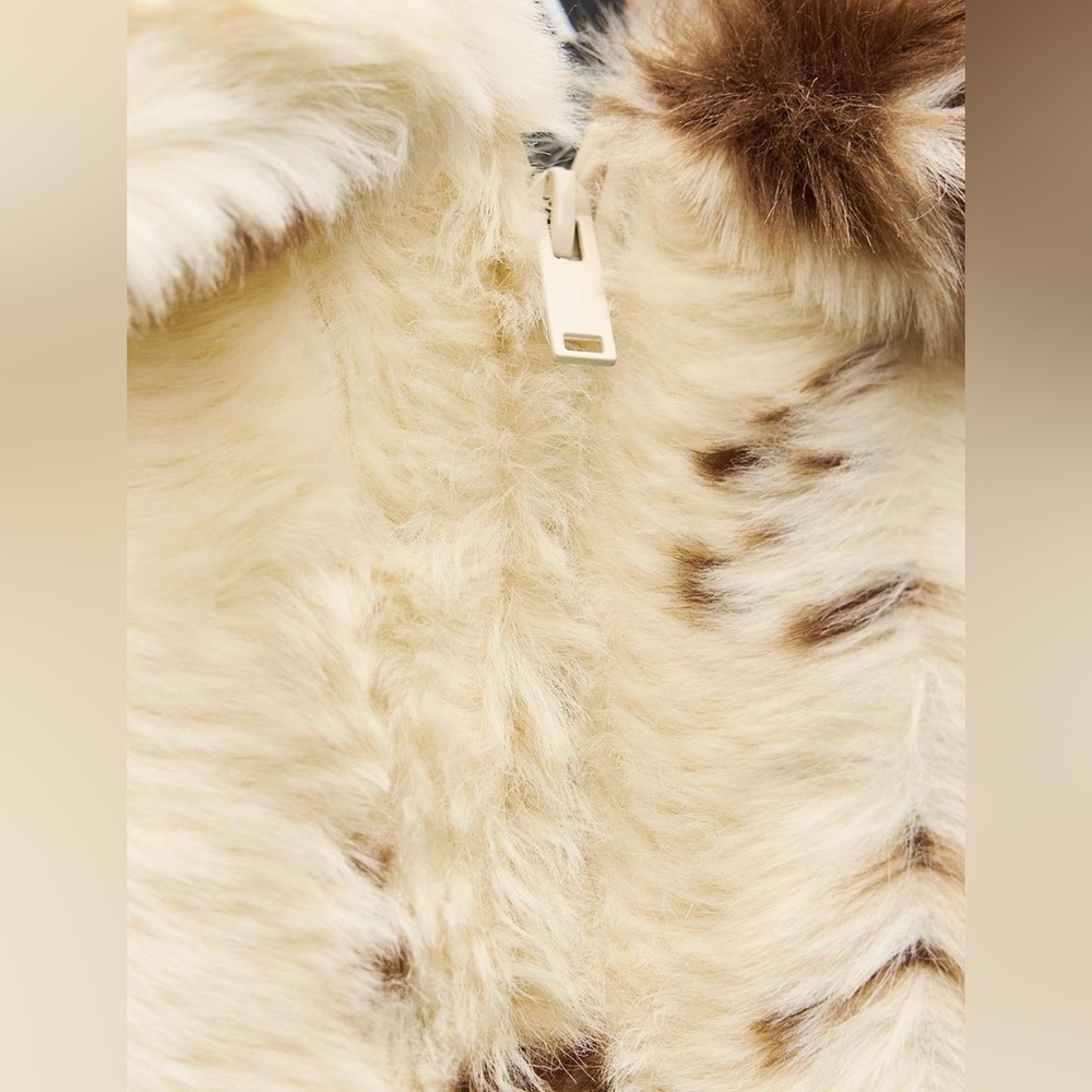 Zara Cream Teddy Jacket with Brown Accents - Picture 6 of 8